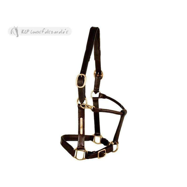 Halter Padded Leather