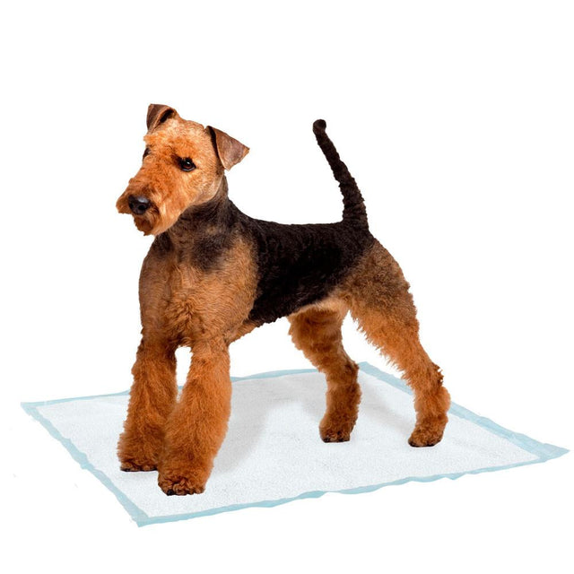 Ferplast Genico Large Dog Mats