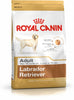 Royal Canin Labrador Retriever Adult - 12kg
